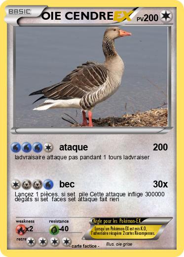 Pokemon OIE CENDRE
