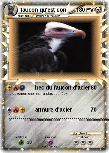 Pokemon faucon qu'est con