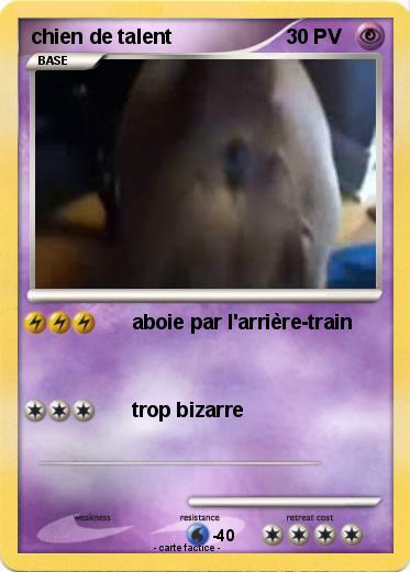 Pokemon chien de talent