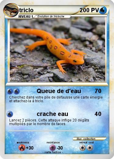 Pokemon triclo