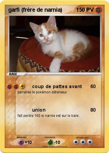 Pokemon garfi (frère de narnia)