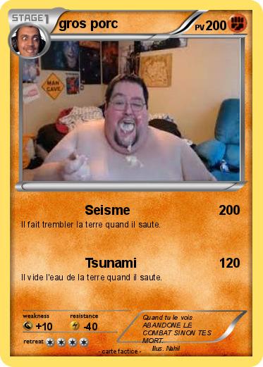 Pokemon gros porc