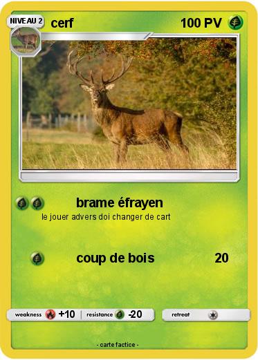 Pokemon cerf