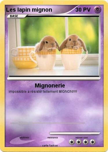Pokemon Les lapin mignon