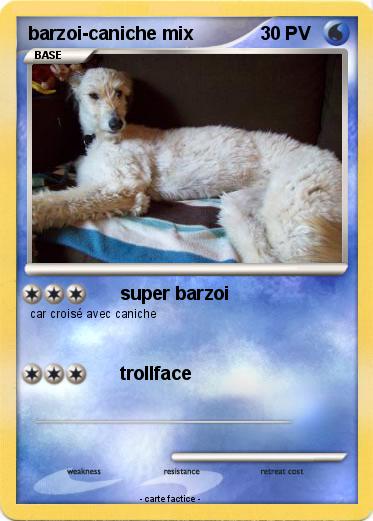 Pokemon barzoi-caniche mix