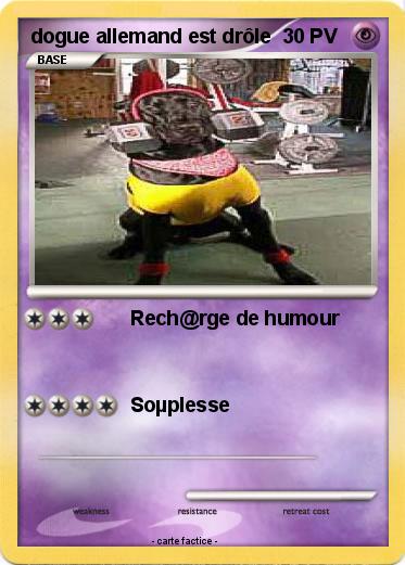 Pokemon dogue allemand est drôle