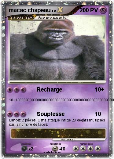 Pokemon macac chapeau