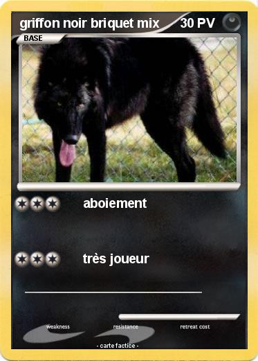 Pokemon griffon noir briquet mix