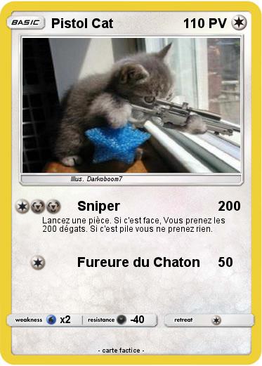 Pokemon Pistol Cat
