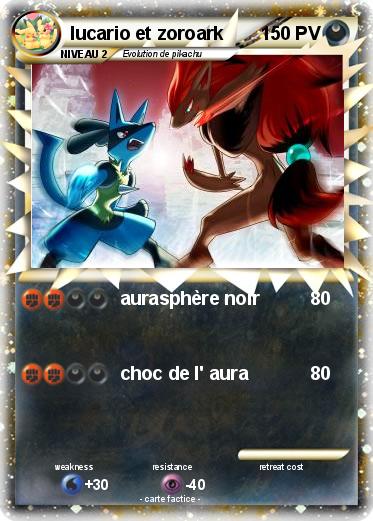 Pokemon lucario et zoroark