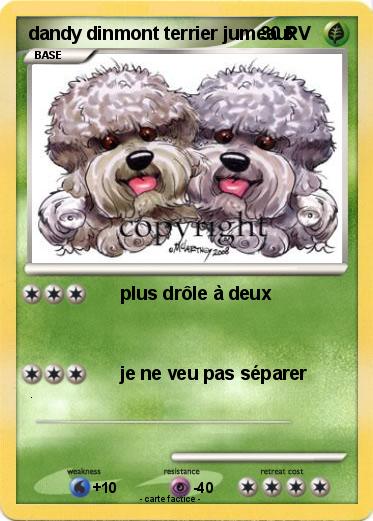 Pokemon dandy dinmont terrier jumeaux