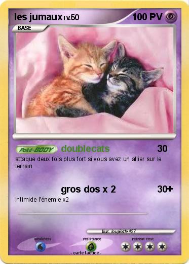 Pokemon les jumaux