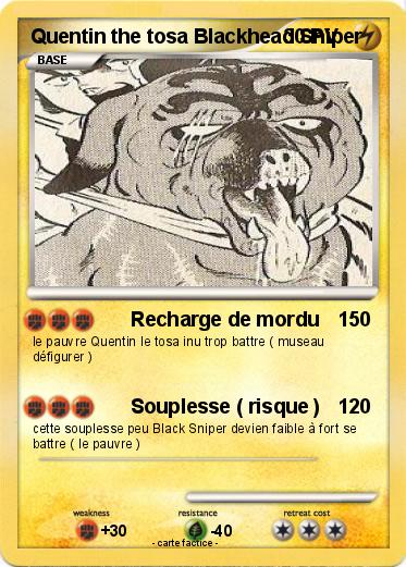 Pokemon Quentin the tosa Blackhead Sniper