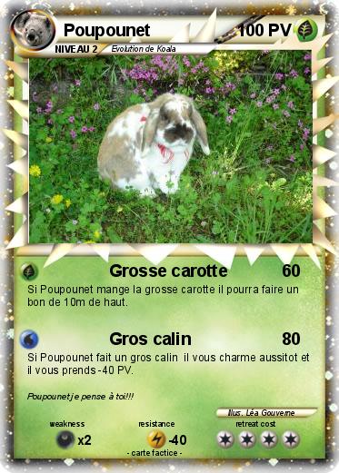 Pokemon Poupounet