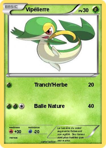 Pokemon Vipélierre