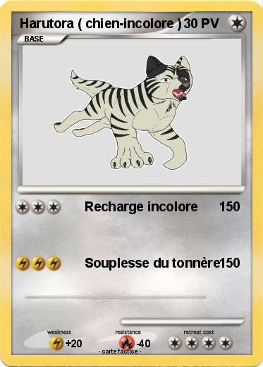 Pokemon Harutora ( chien-incolore )