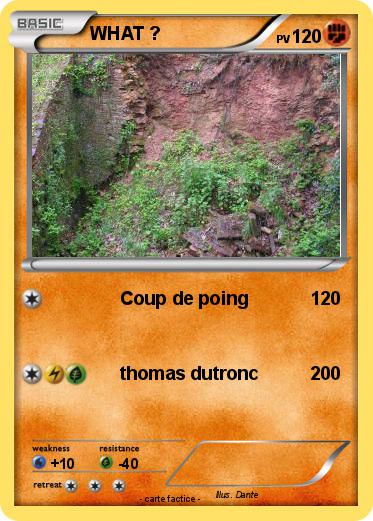 Pokemon WHAT ?