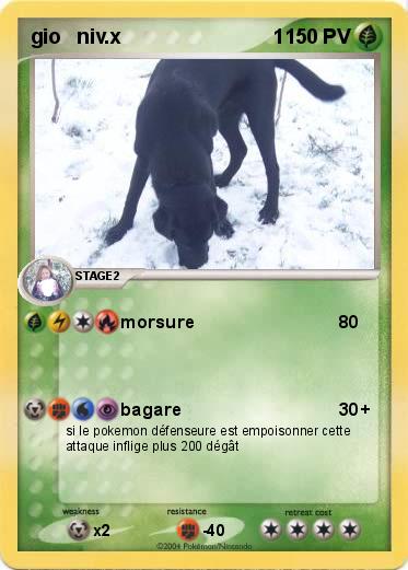 Pokemon gio   niv.x                           1