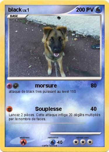 Pokemon black