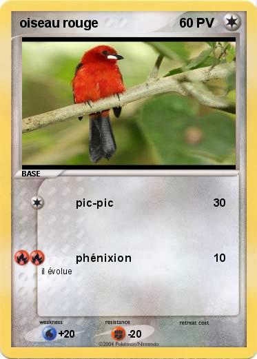 Pokemon oiseau rouge