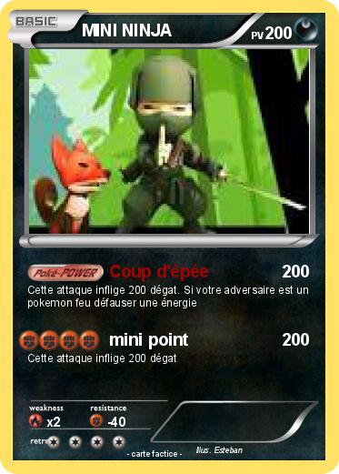Pokemon MINI NINJA