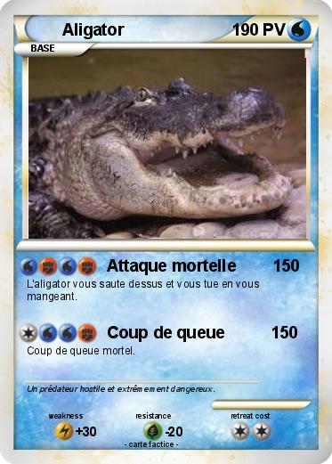Pokemon Aligator