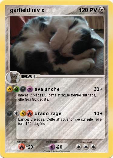 Pokemon  garfield niv x