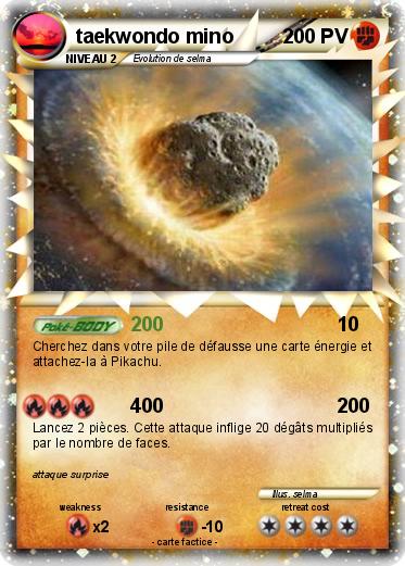 Pokemon taekwondo mino