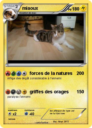 Pokemon miaoux