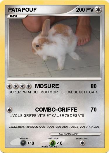 Pokemon PATAPOUF