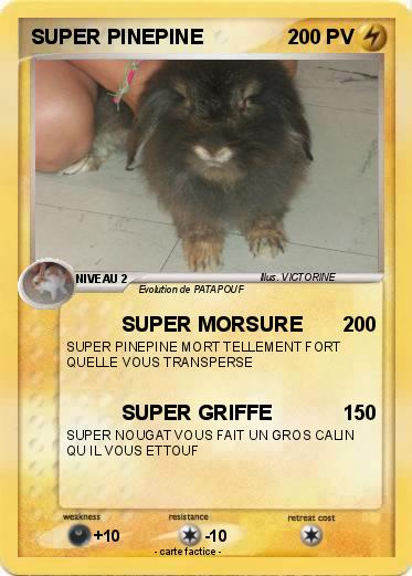 Pokemon SUPER PINEPINE