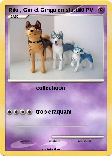 Pokemon Riki , Gin et Ginga en statue