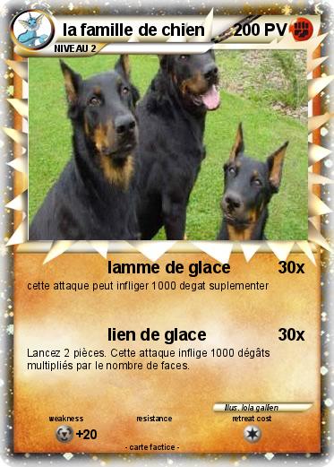 Pokemon la famille de chien