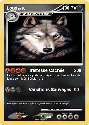 Pokemon Loup