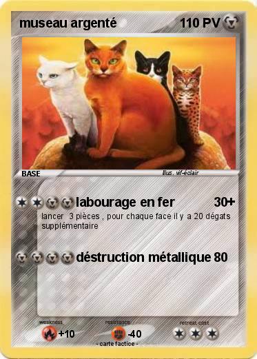 Pokemon museau argenté