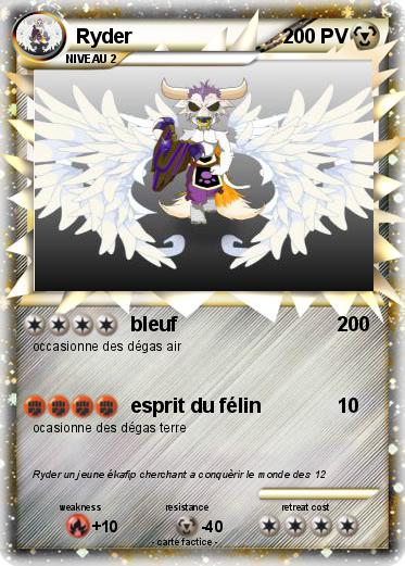 Pokemon Ryder