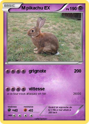 Pokemon M pikachu EX