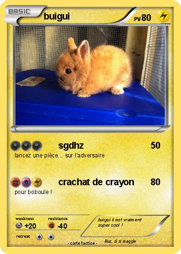 Pokemon buigui