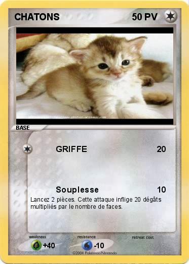Pokemon CHATONS