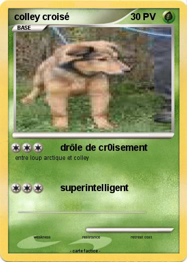 Pokemon colley croisé