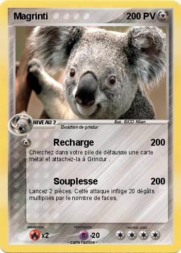Pokemon Magrinti