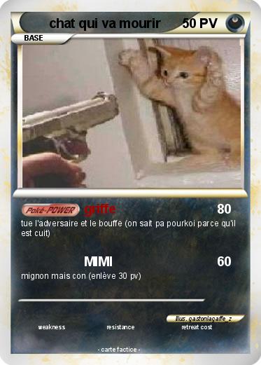 Pokemon chat qui va mourir