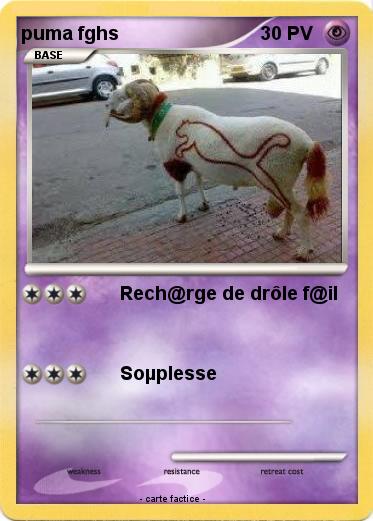 Pokemon puma fghs