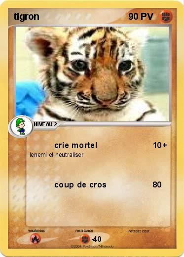 Pokemon tigron