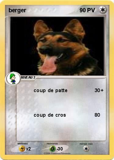 Pokemon berger