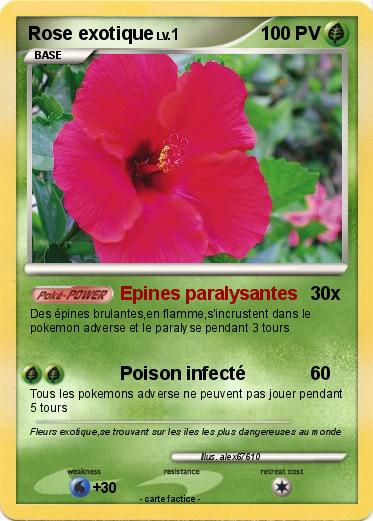 Pokemon Rose exotique