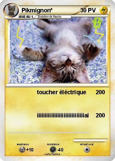 Pokemon Pikmignon*