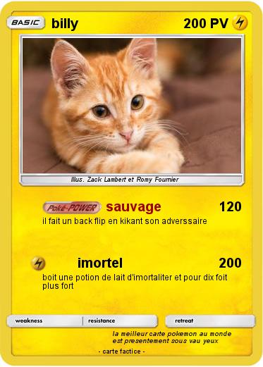 Pokemon billy
