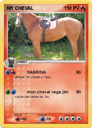 Pokemon MY CHEVAL