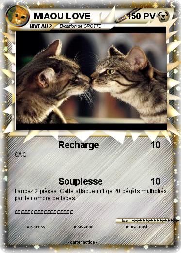 Pokemon MIAOU LOVE